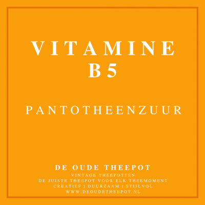 VTM006-VITAMINE-B5-PANTOTHEENZUUR-VITAMINEN-FYTONUTRIËNTEN